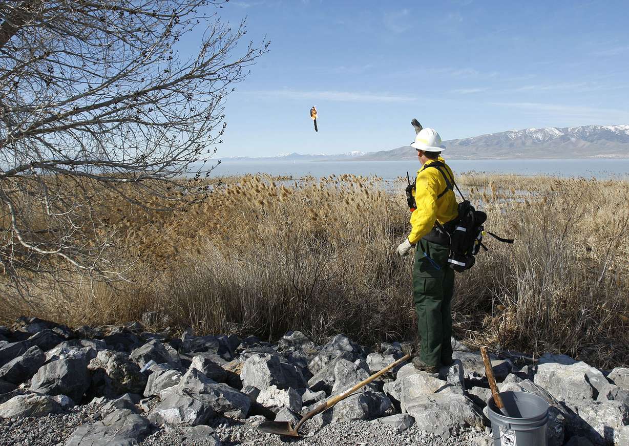 Scott Zeidler, with the Utah Division of Forestry, Fire and State Lands throws a torch into phragmite weeds growing along the Utah Lake on Tuesday, April 7, 2009. (Photo: Stuart Johnson, KSL TV, File)