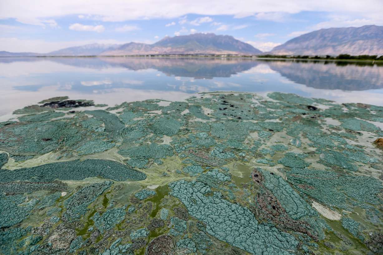 Algae bloom at Utah Lake on July 15, 2016. (Photo: Spenser Heaps, KSL)