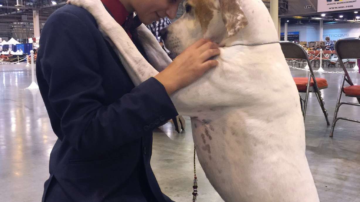 Dog show's young handlers take a grown-up sport in stride