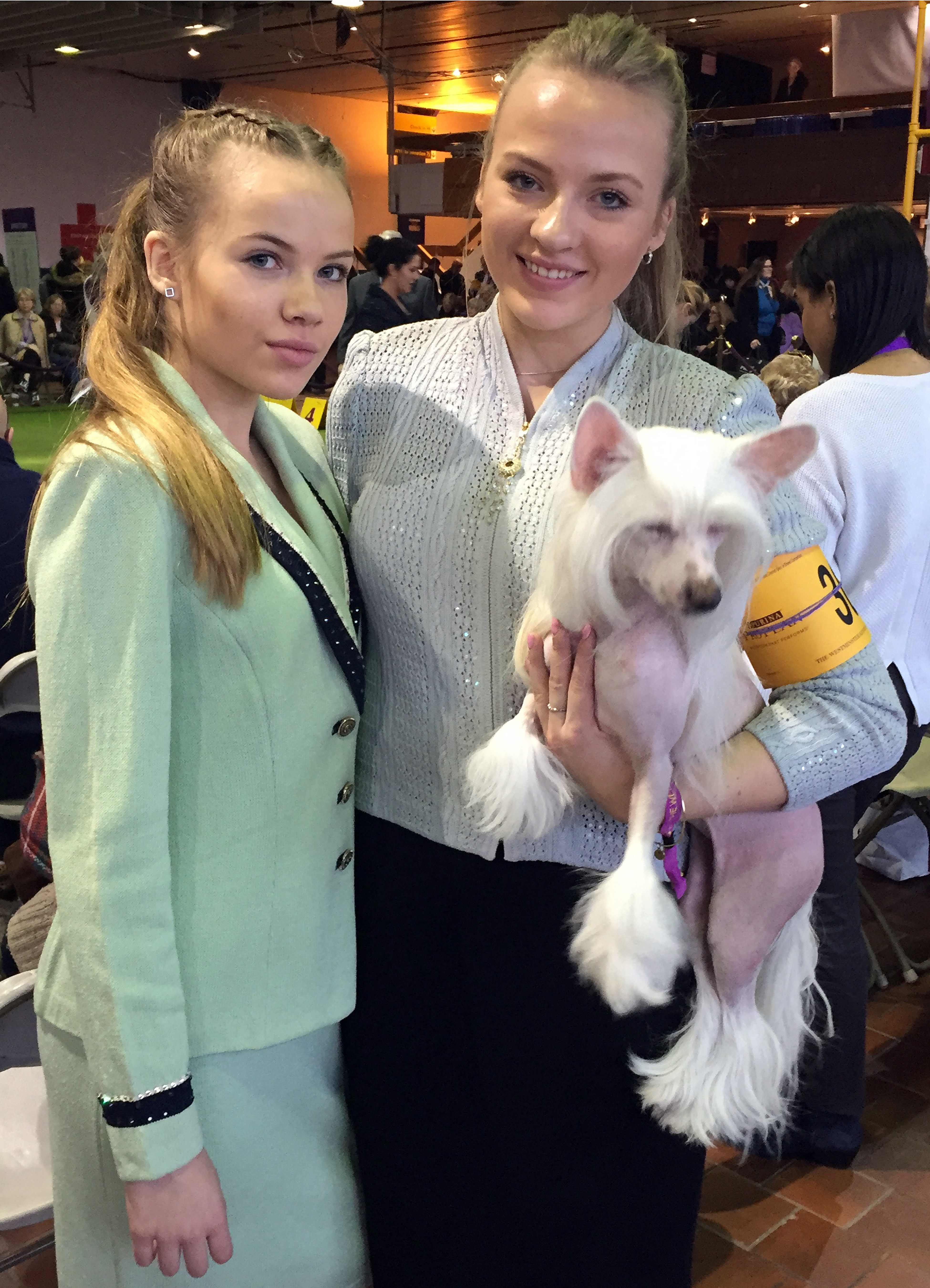 The Latest: Slick show for border collie at Westminster