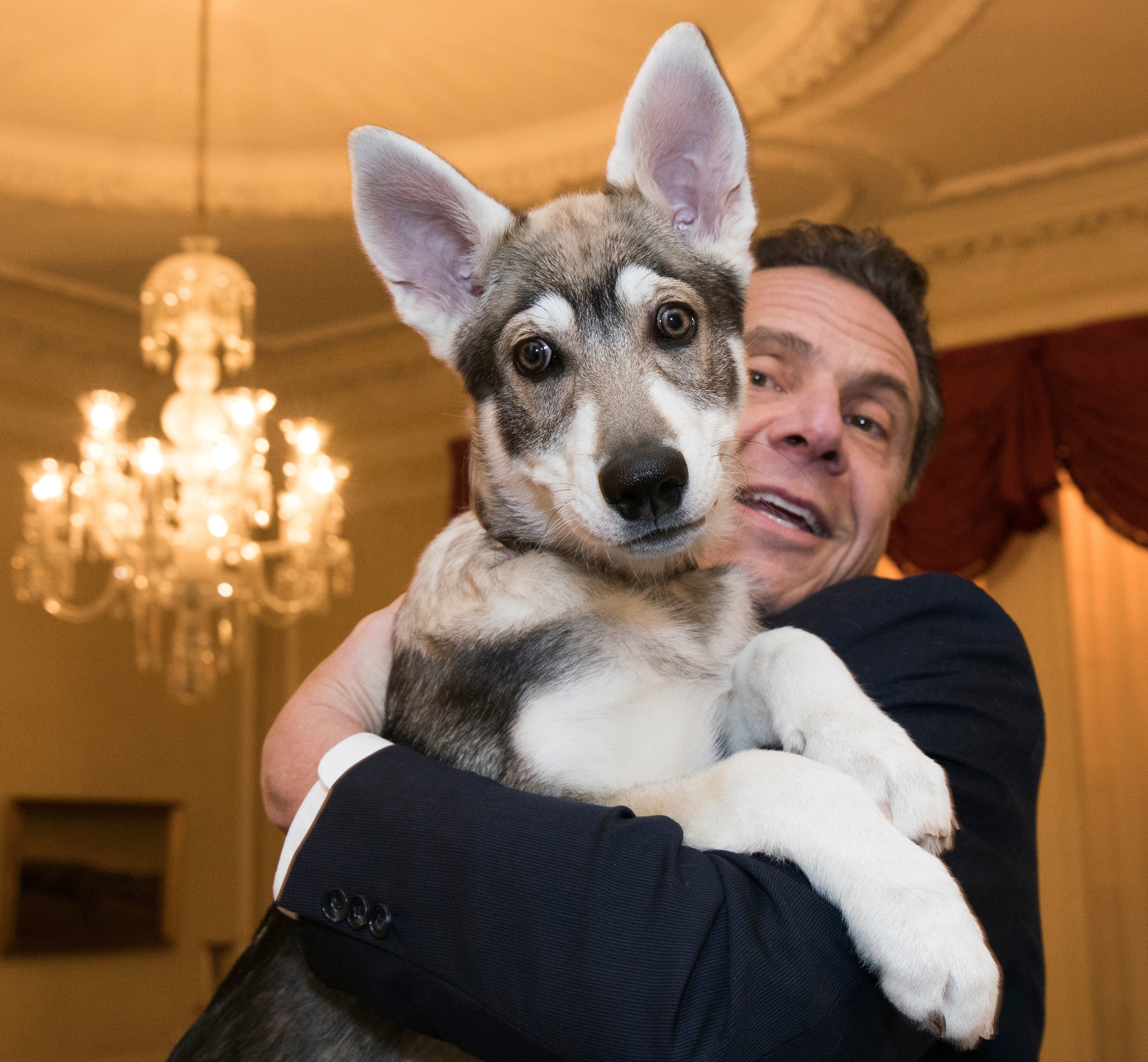 'Captain' is new top dog at New York governor's mansion