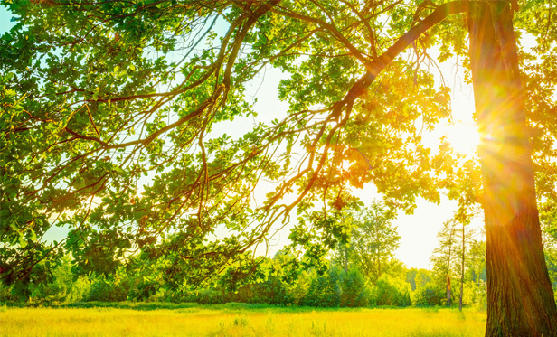 Solar and clean air: short and long-term solutions