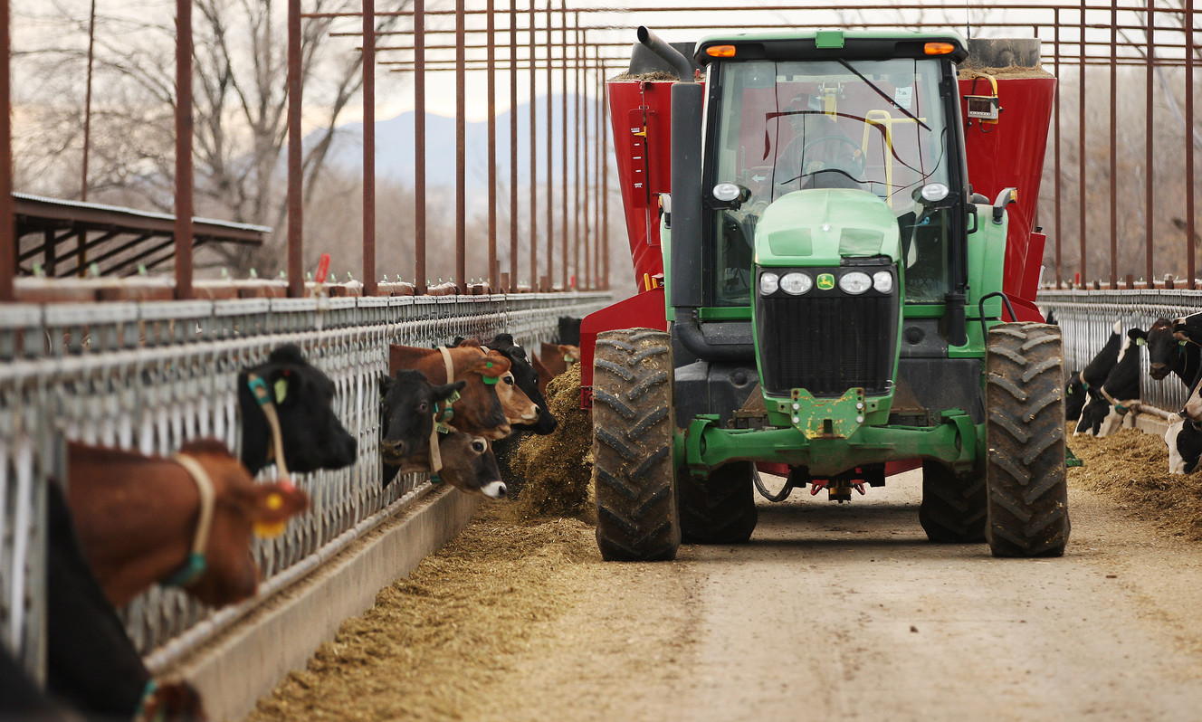 Got milk? Committee advances bill for small raw milk producers