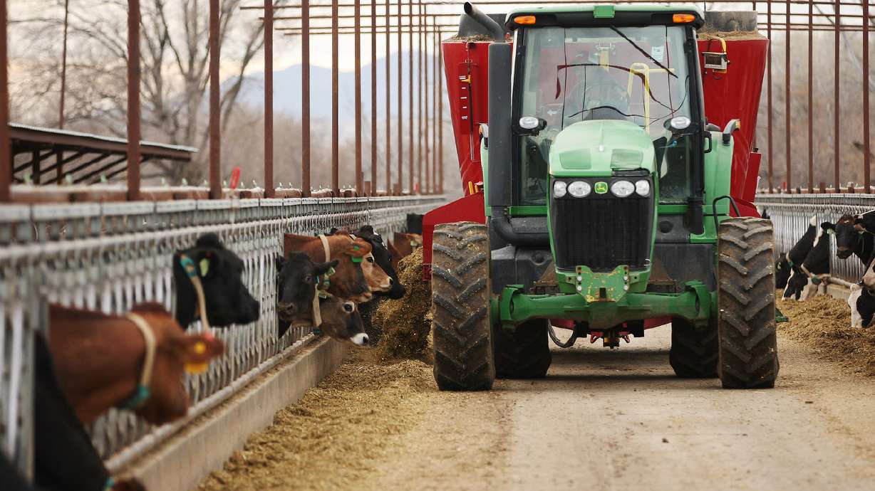 Got milk? Committee advances bill for small raw milk producers