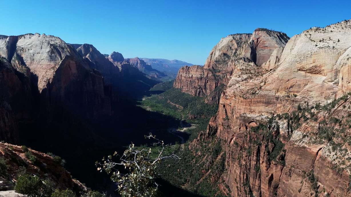 Hiker who died after falling from Zion National Park trail identified as park employee