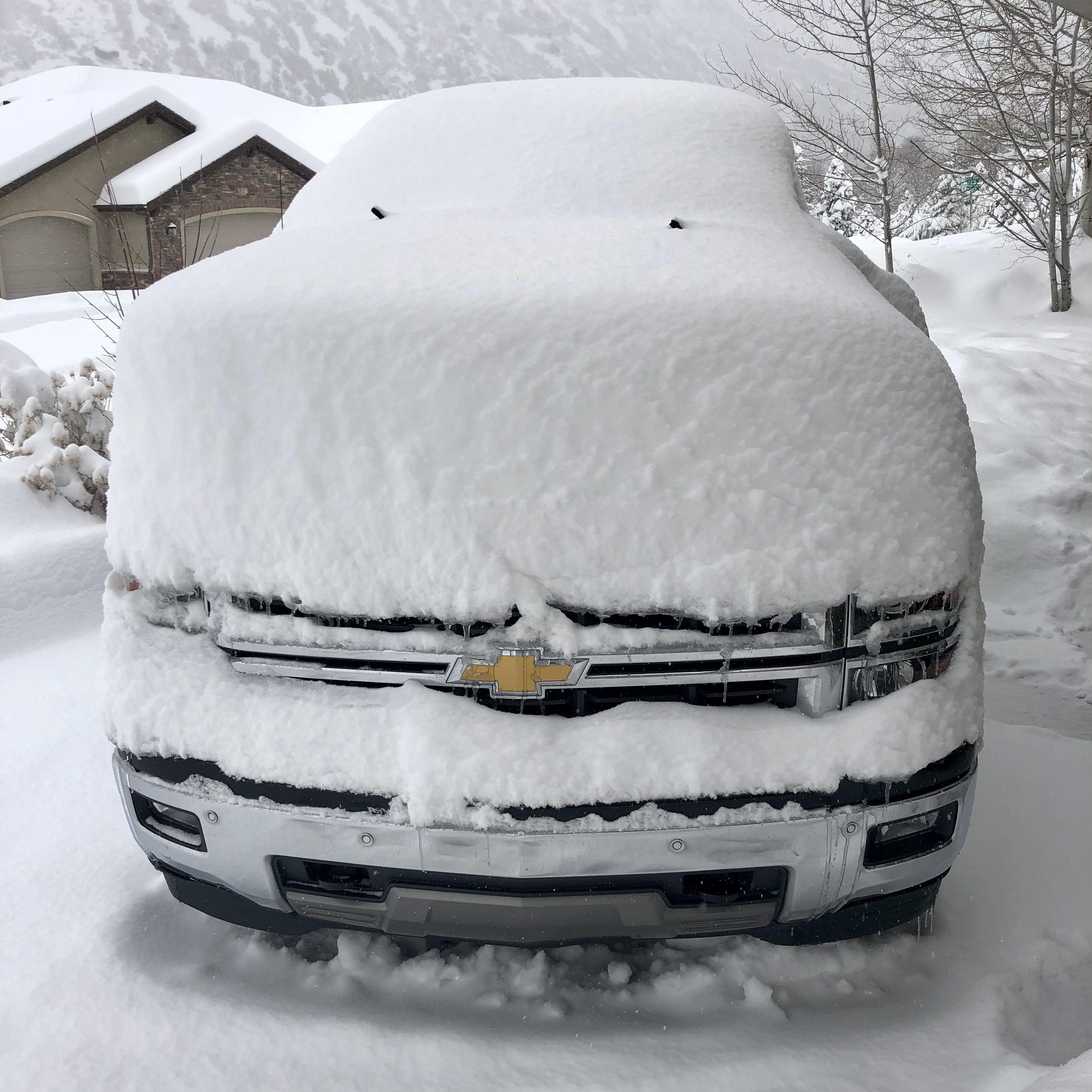 User submitted: Photos show snowiest weekend of year