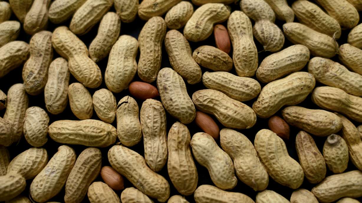 Preventive treatment for peanut allergies succeeds in study