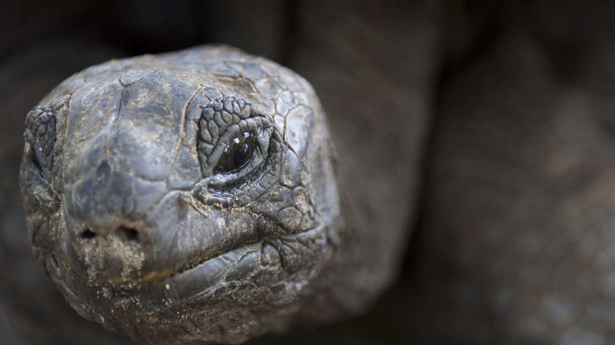 Seychelles swaps debt for groundbreaking marine protection