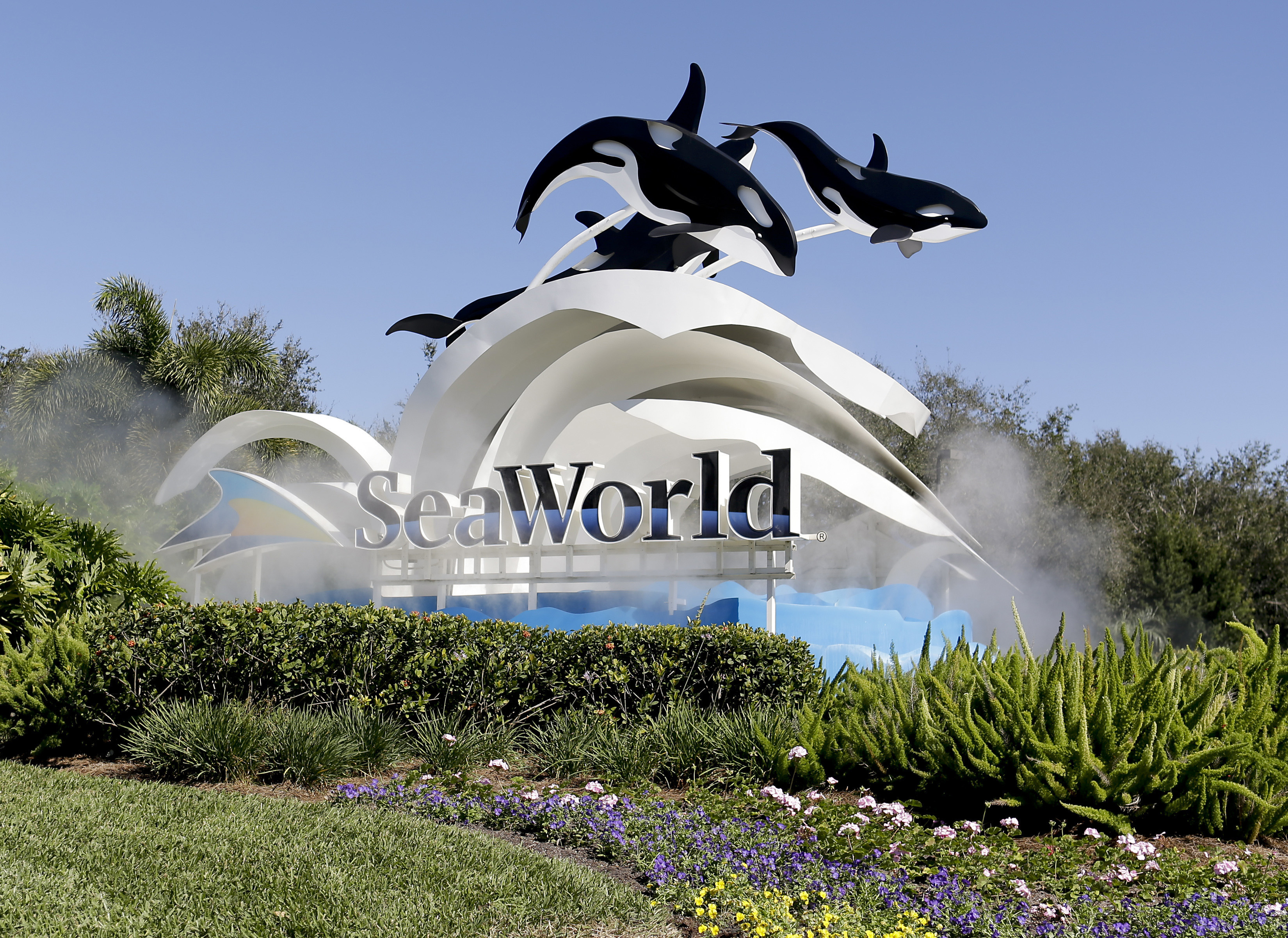 SeaWorld losses widen for the year, CEO Manby departs