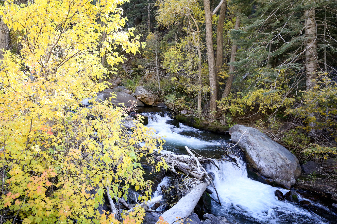 Lawmakers punt on constitutional water question