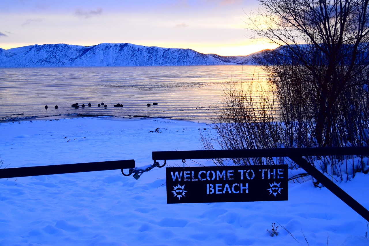 User submitted: Fresh snow coats Utah