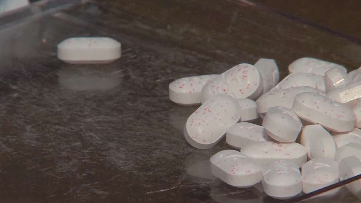 Three more Utah counties file joint lawsuit against pharmaceutical companies