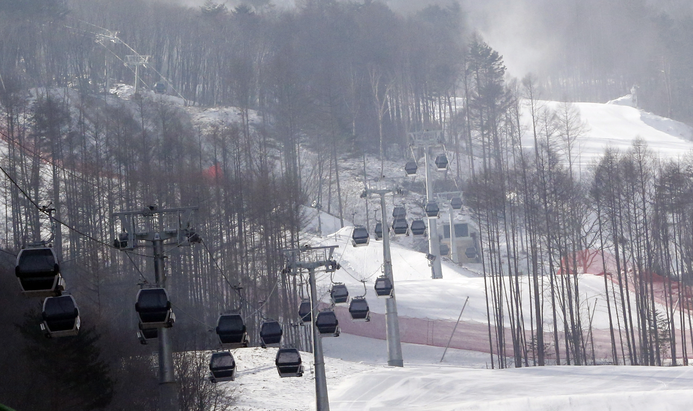 After Olympics, South Korea mulls reviving bulldozed forest