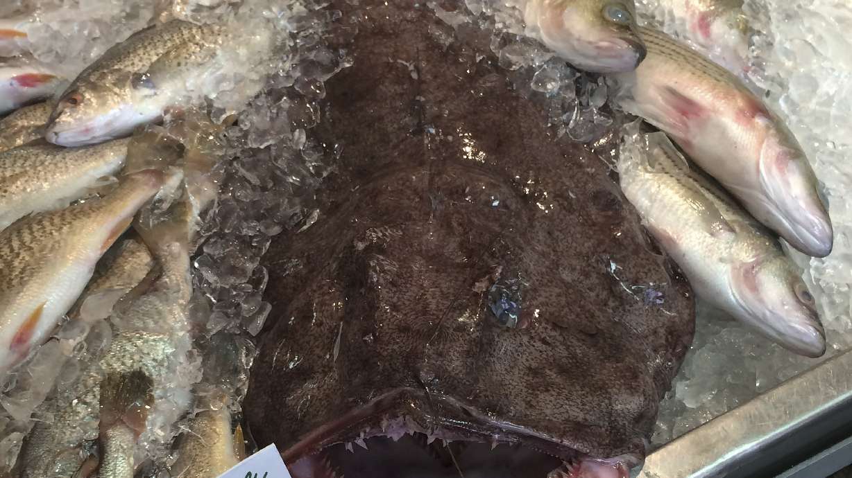 Ugly delicacy? Industry touts weird-looking Monkfish