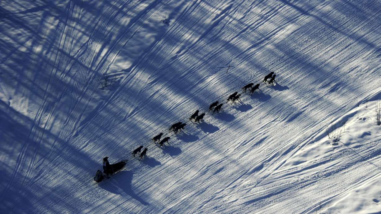 Mushers, fans gather for world's most famous sled dog race