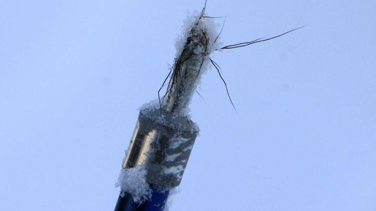 Biologists turn to citizens, DNA to count urban Alaska moose