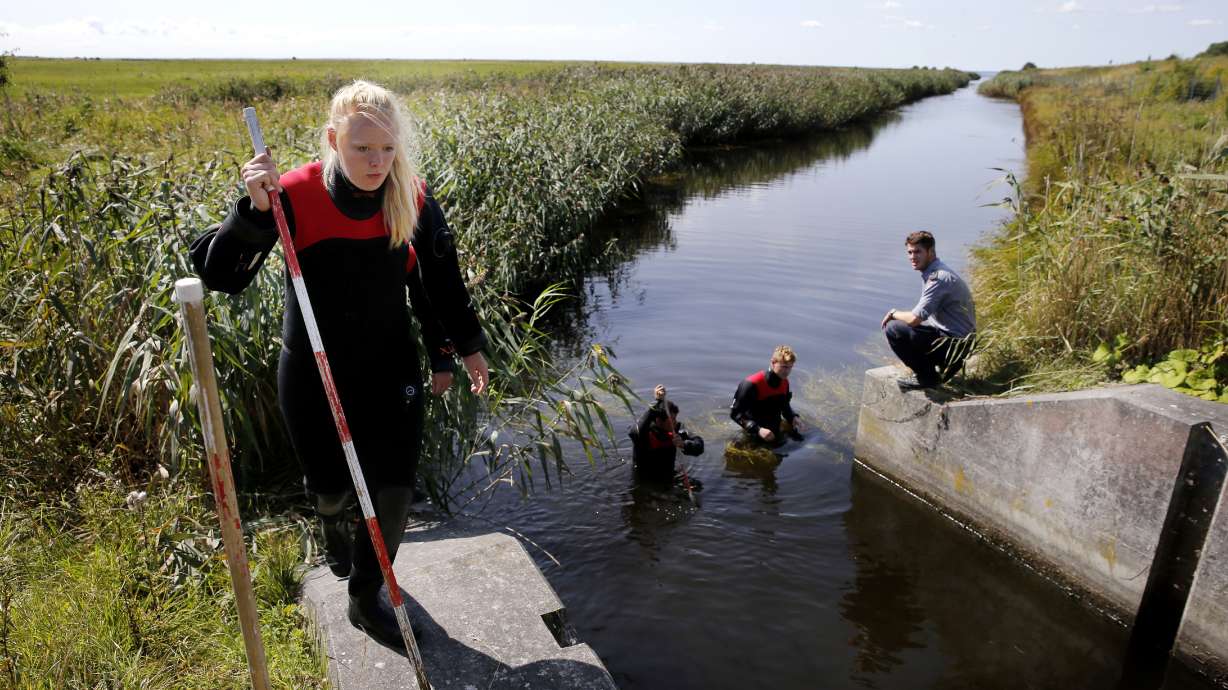 Timeline in the case of journalist Kim Wall's murder