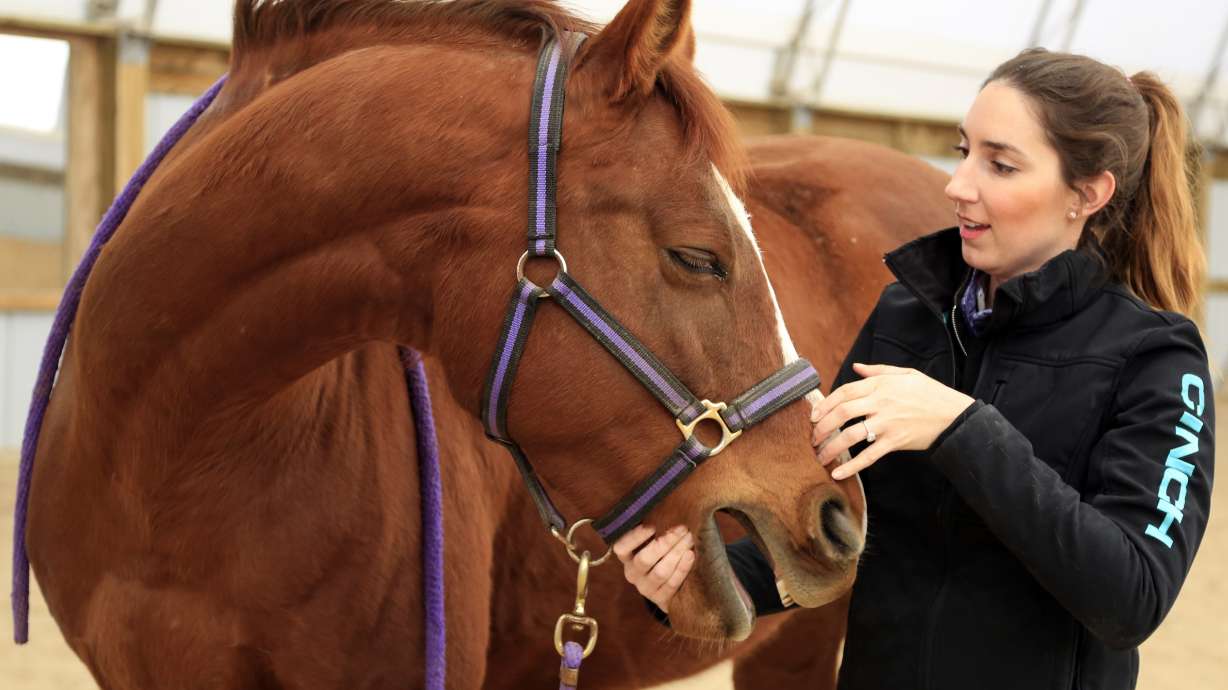 A little tight? Nebraska could end horse massage licensing