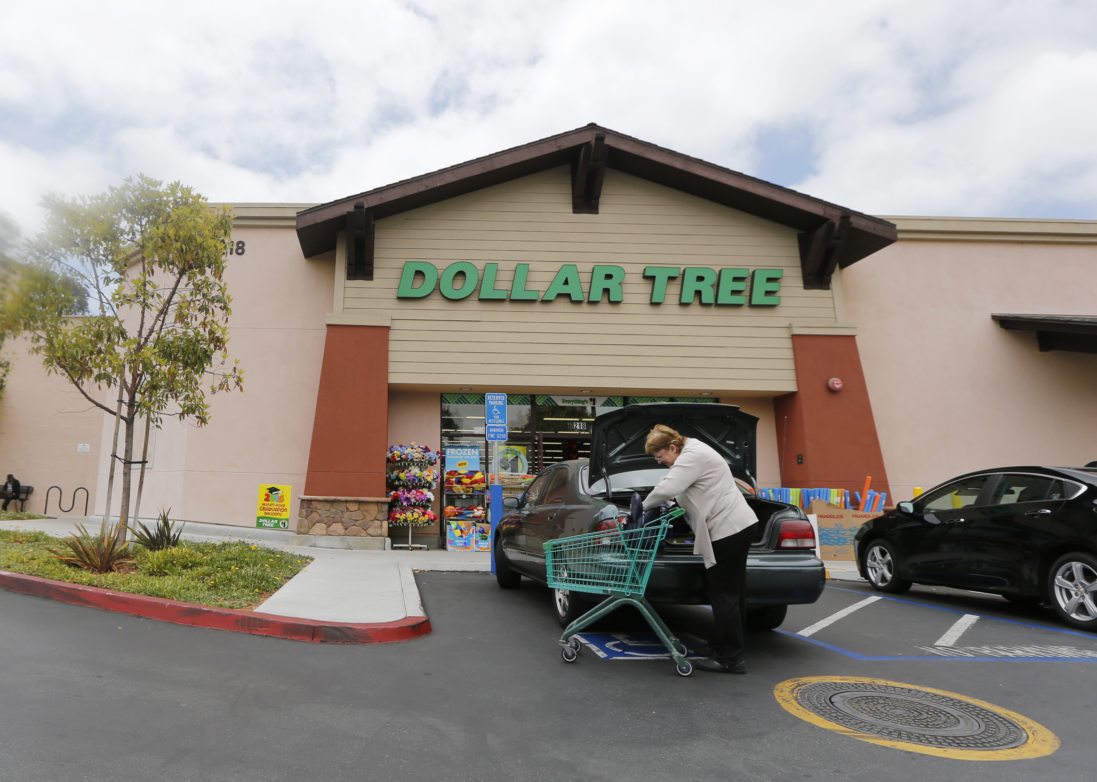 Dollar Tree's 4Q results fall short, shares plunge