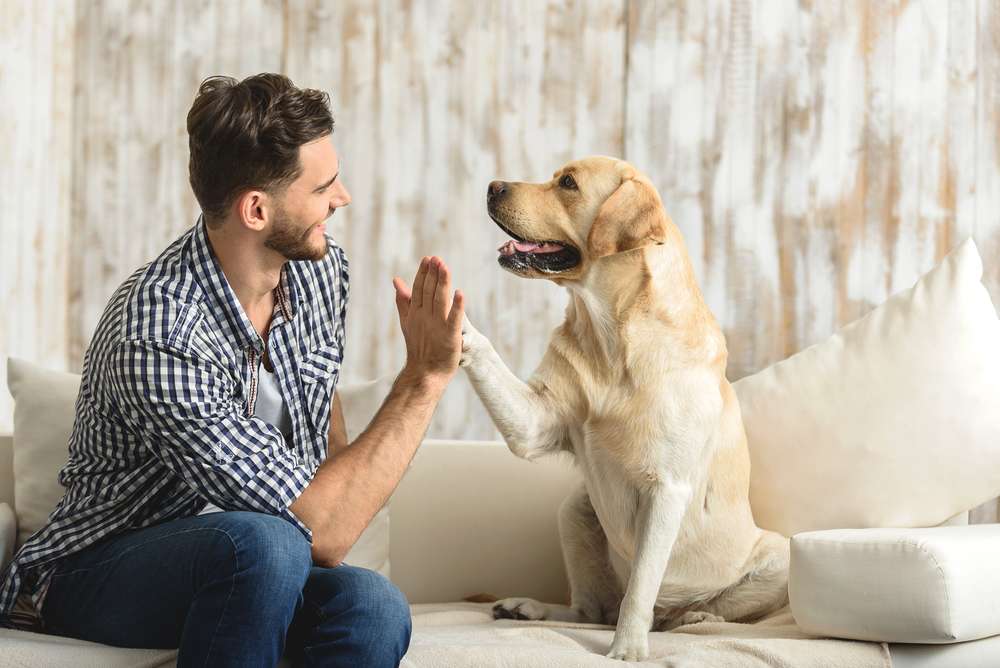 5 scientifically proven benefits of owning a dog