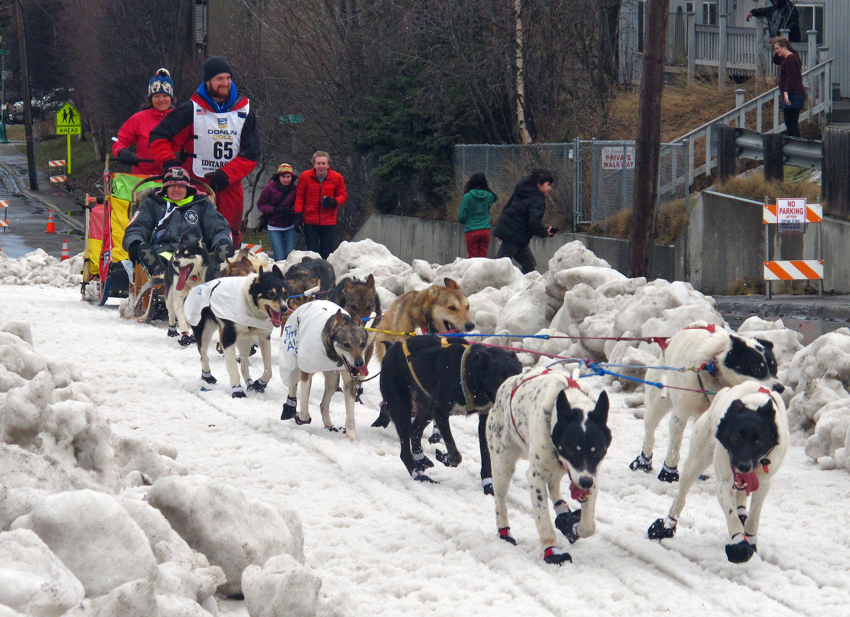Iditarod musher claims race official threatened him