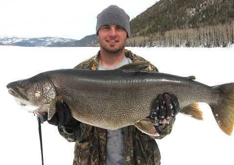 are there fish in salt lake utah