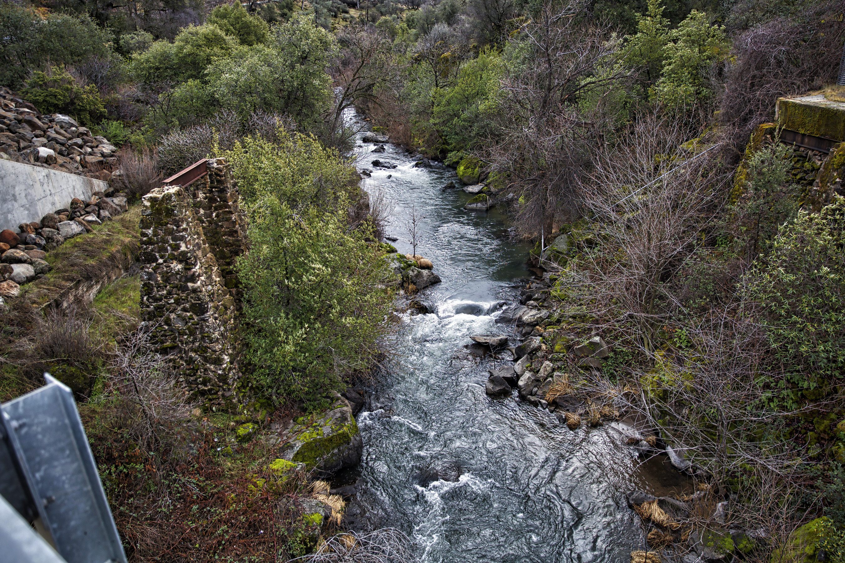 California salmon will have places to chill with dam removal