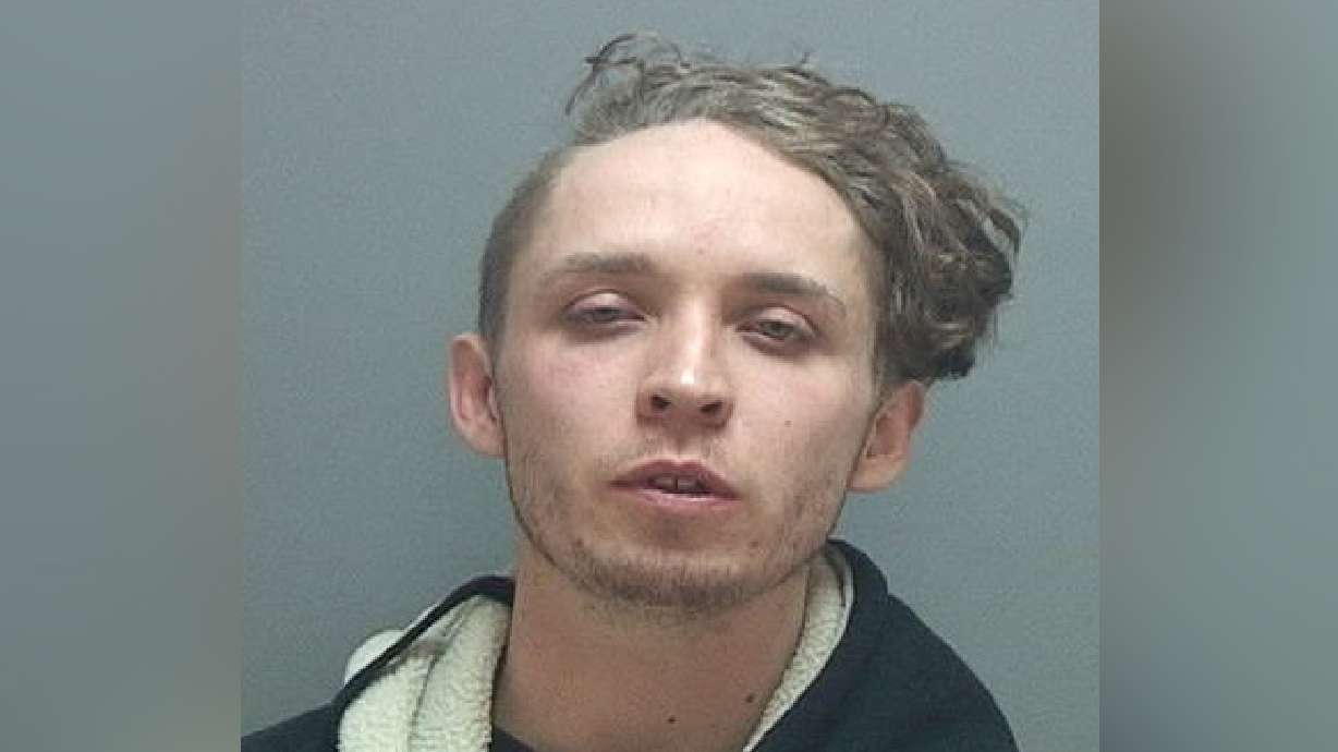 Man sentenced to prison for sex with girl he met on TRAX