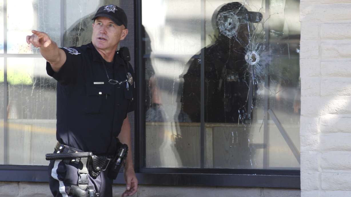 Gun background check system riddled with flaws