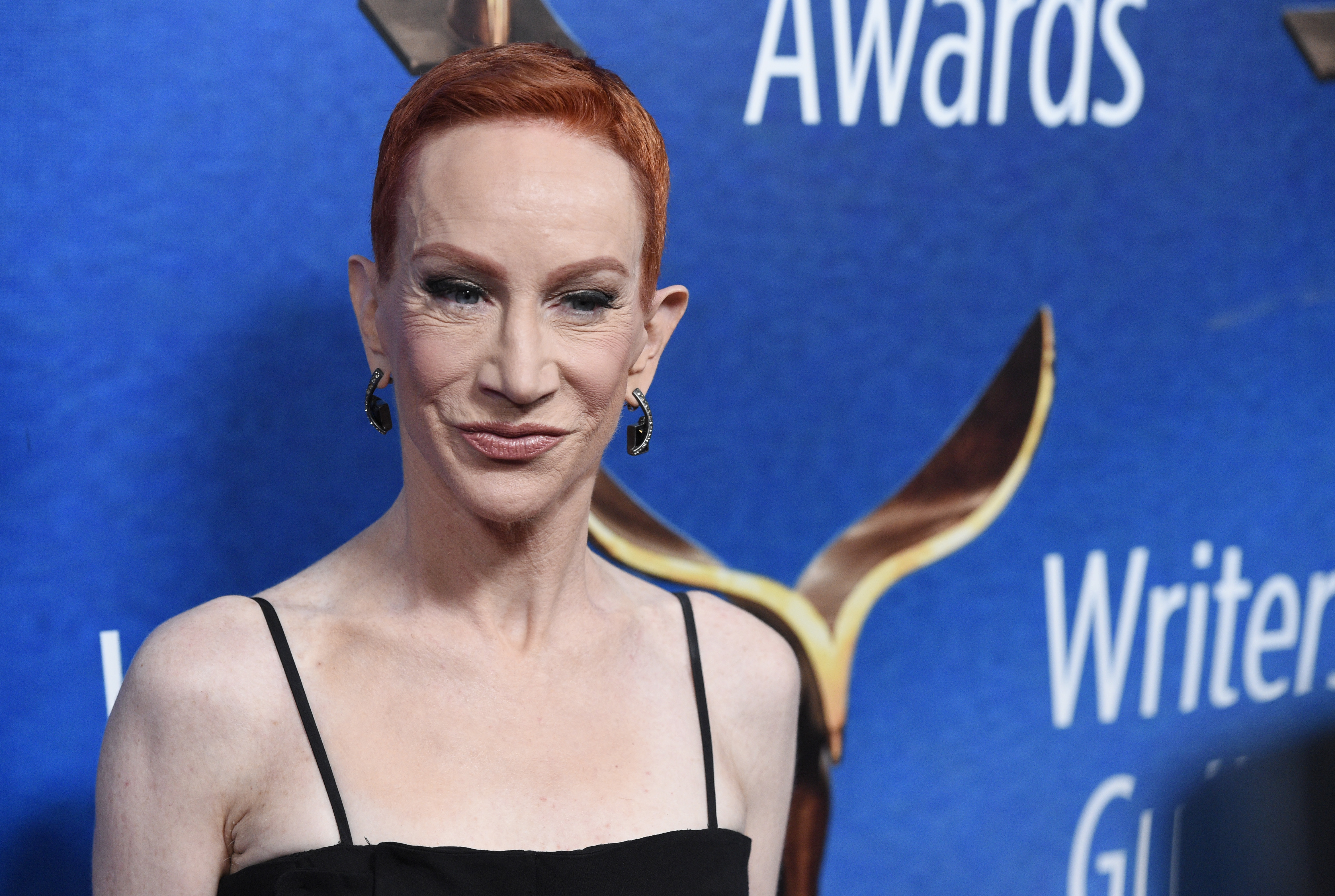 Kathy Griffin to do new shows, 9 months after Trump photo