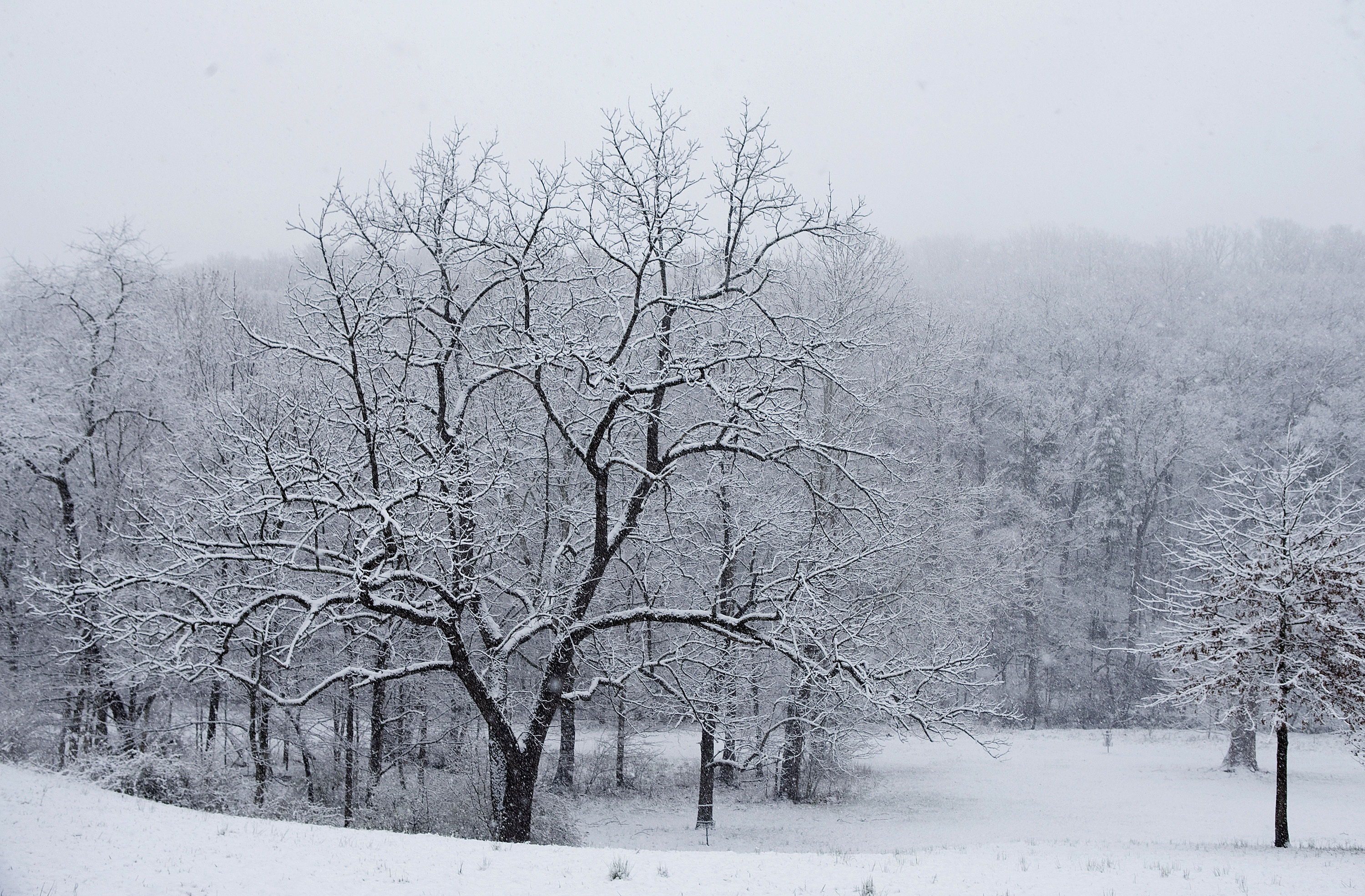 Latest nor'easter could dump a foot or more of snow