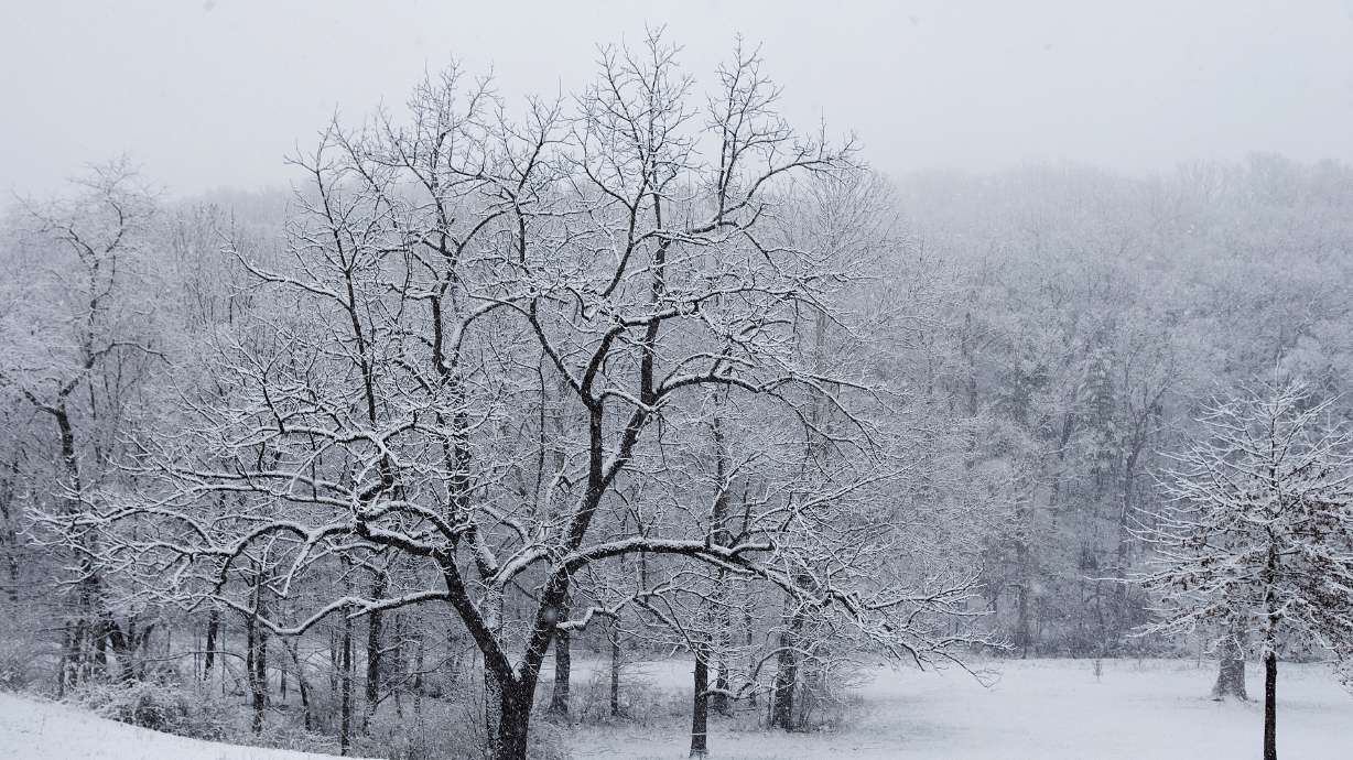 Latest nor'easter could dump a foot or more of snow