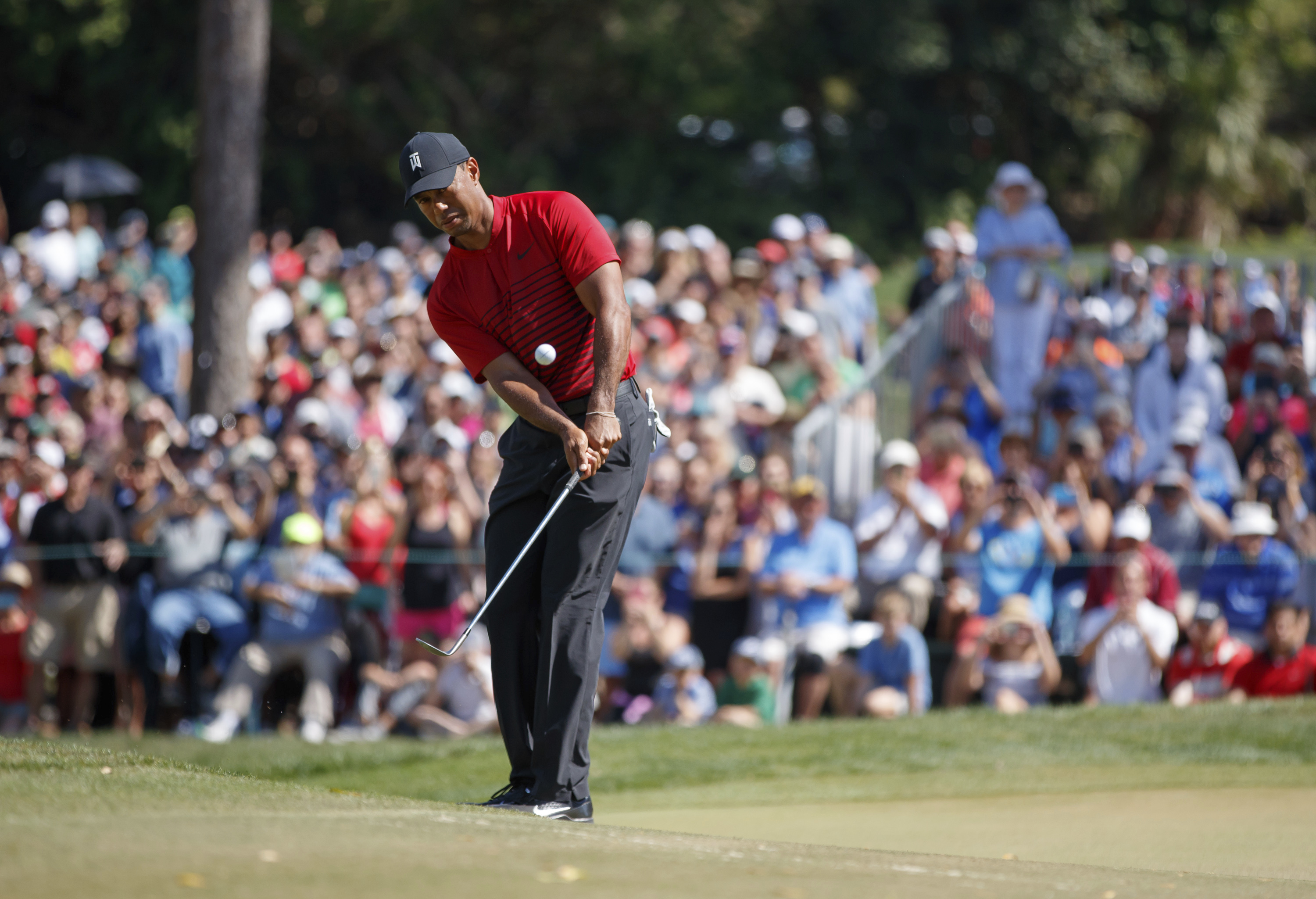 Tiger effects leads to highest PGA Tour ratings in 5 years