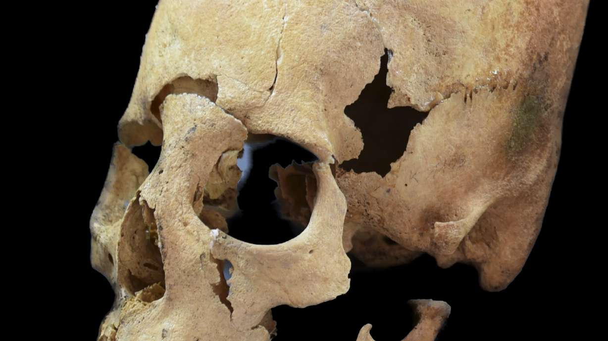 Skulls show women moved across medieval Europe, not just men