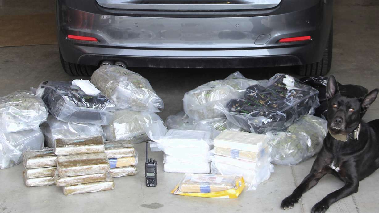 Texas man arrested after Arizona police dog sniffs out drugs