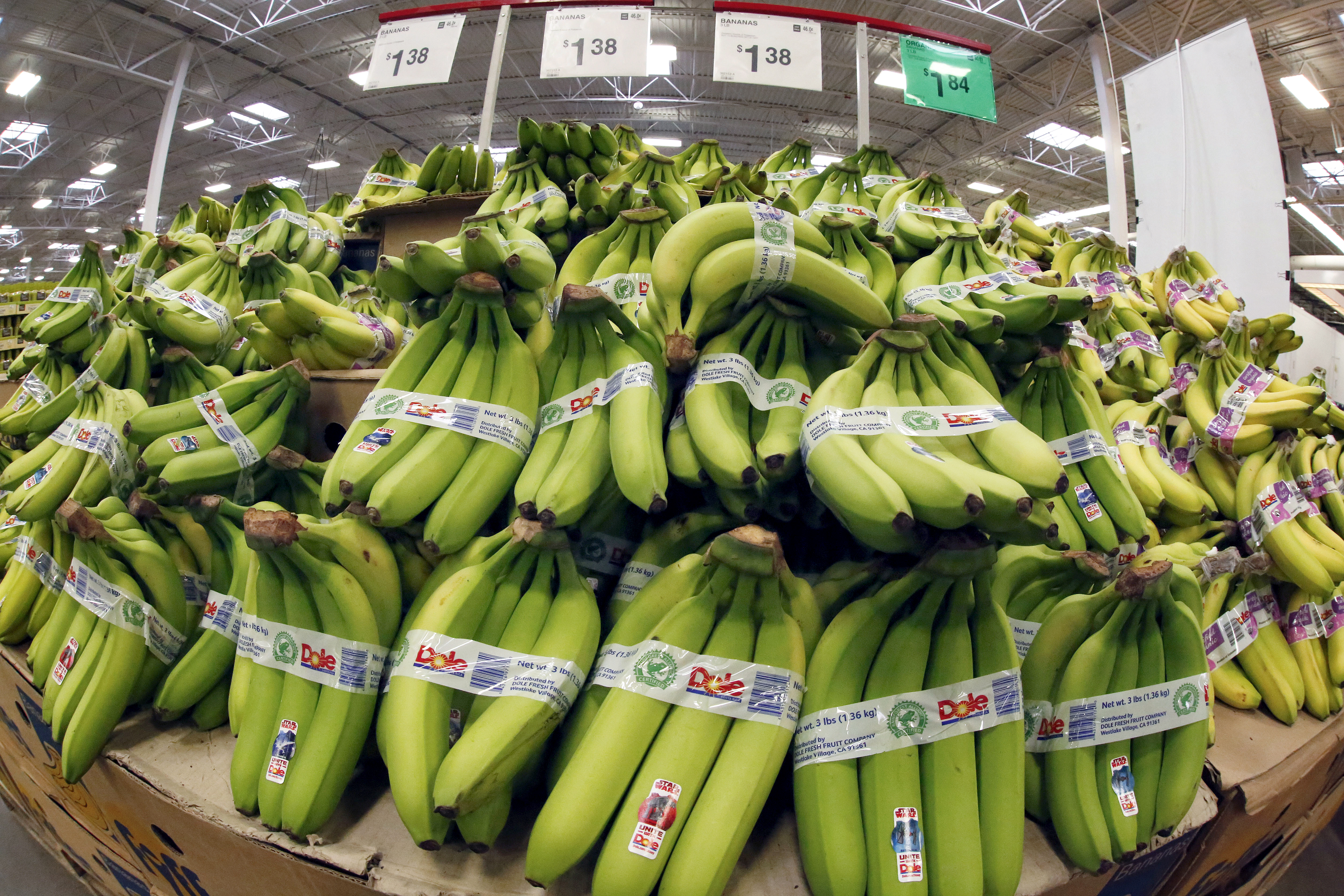 Feb wholesale prices up 0.2 pct; inflation nips producers