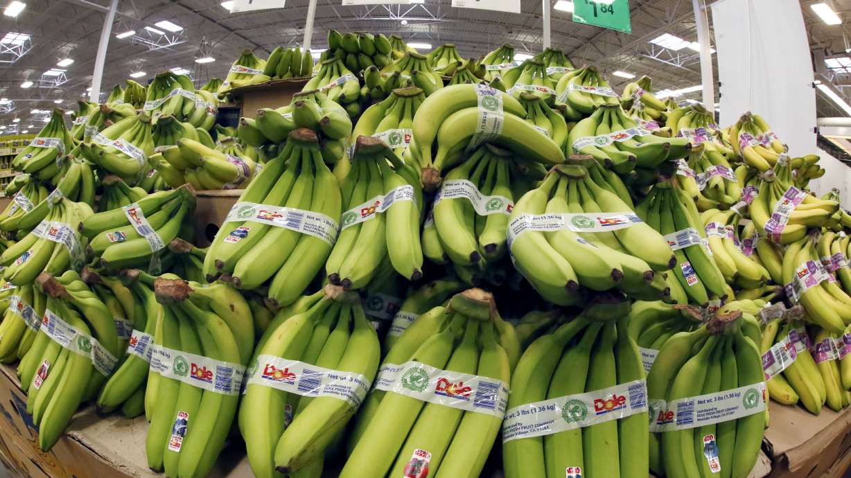 Feb wholesale prices up 0.2 pct; inflation nips producers