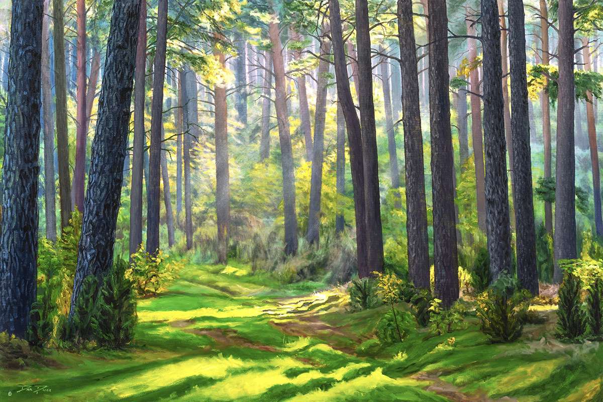 "Down The Forest Path" by Daniel Price