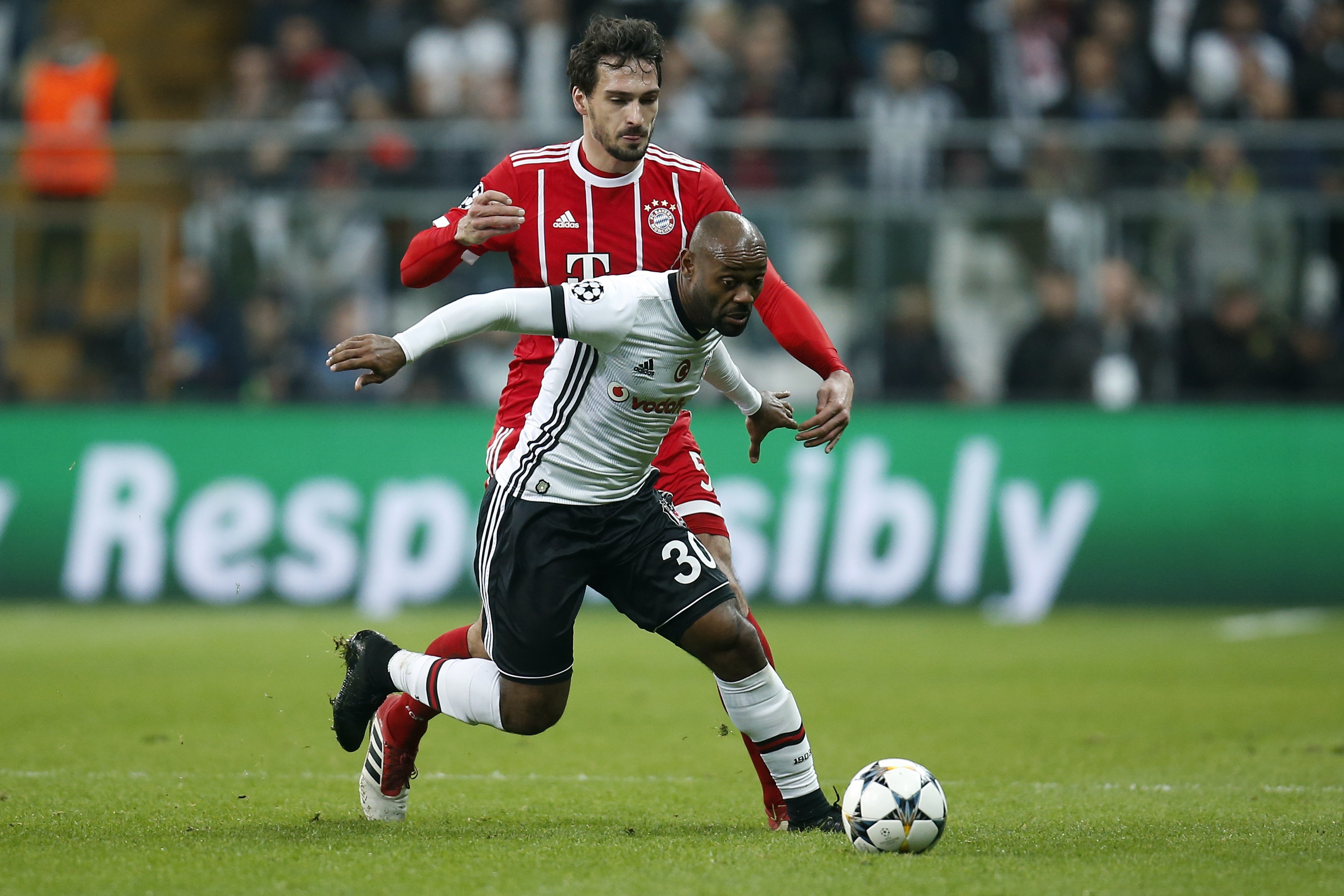 Stray cat could prompt Besiktas Champions League fine