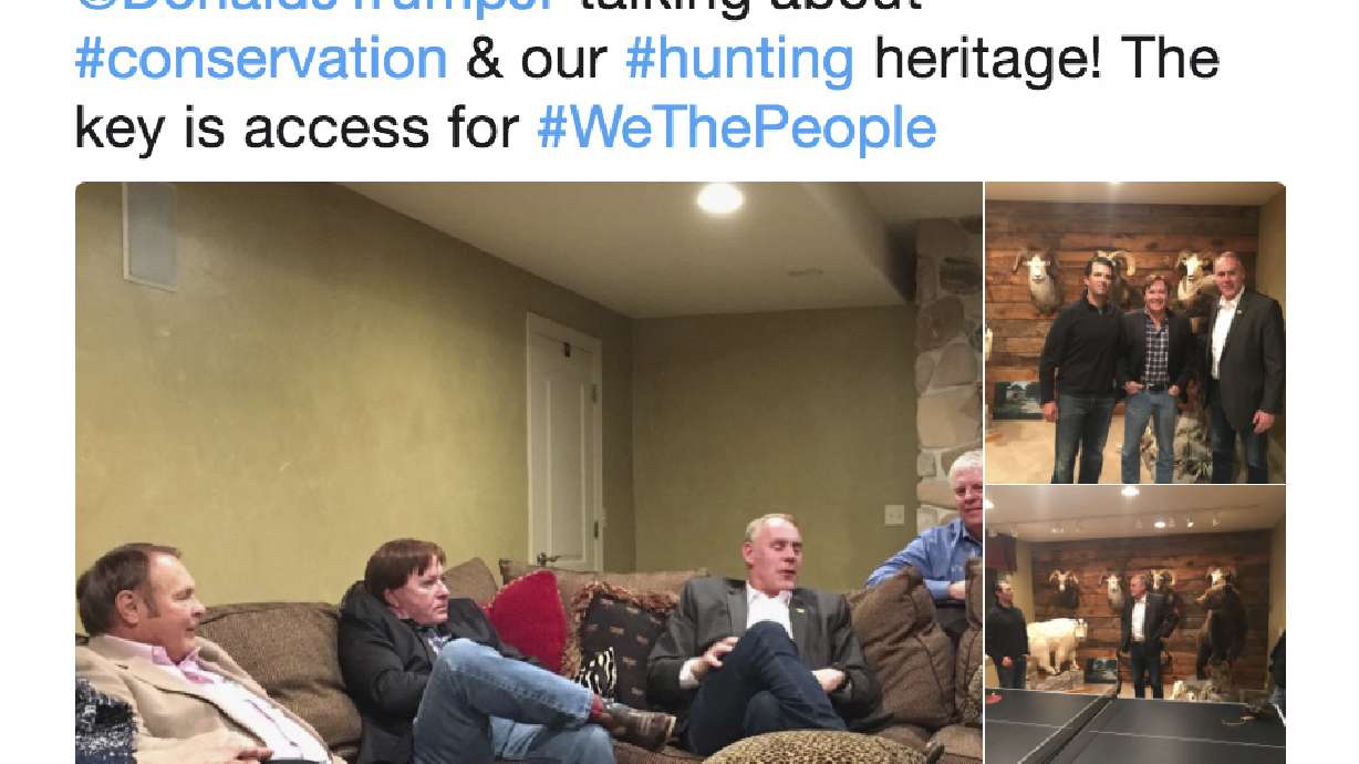Trophy hunters pack Trump wildlife protection board