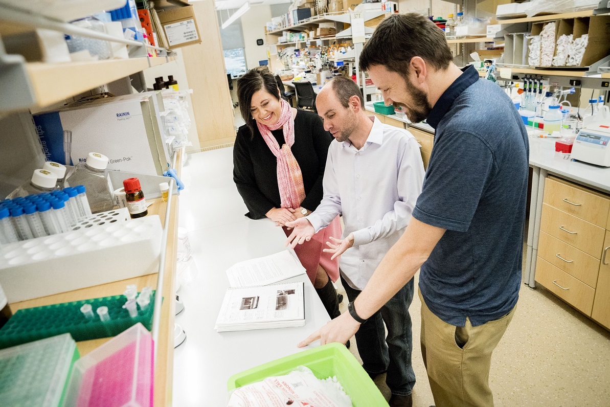 Utah researchers find cortisol may exacerbate endometrial cancers