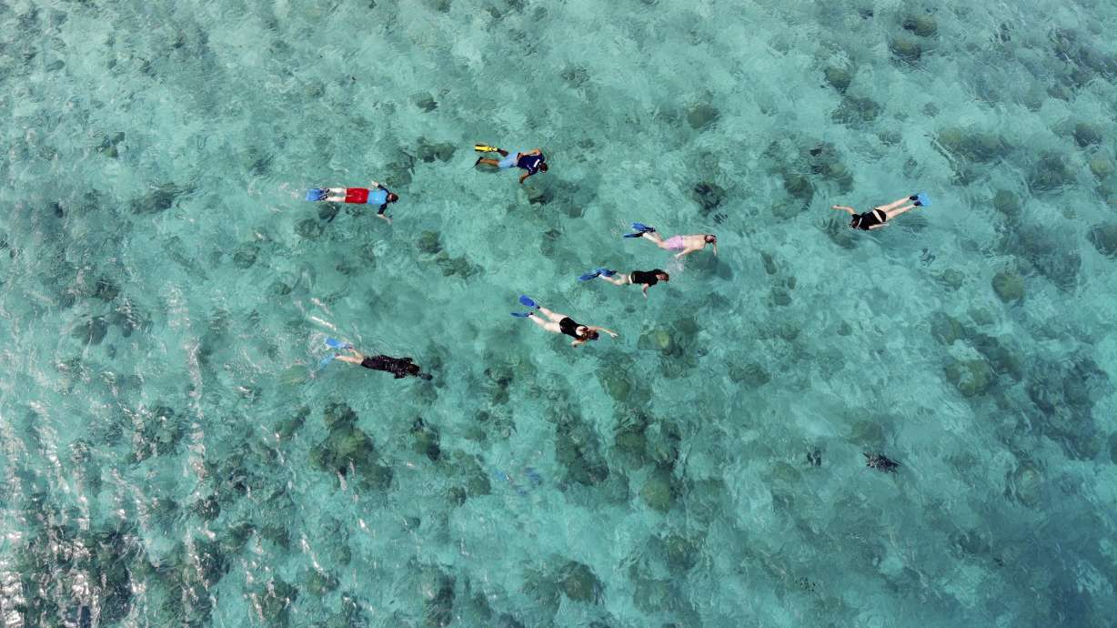 In the Seychelles, coral reefs face climate change threat