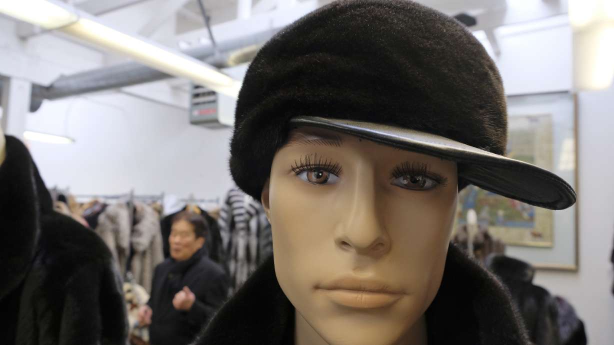 Fur is dead: Animal welfare groups cheer San Francisco ban