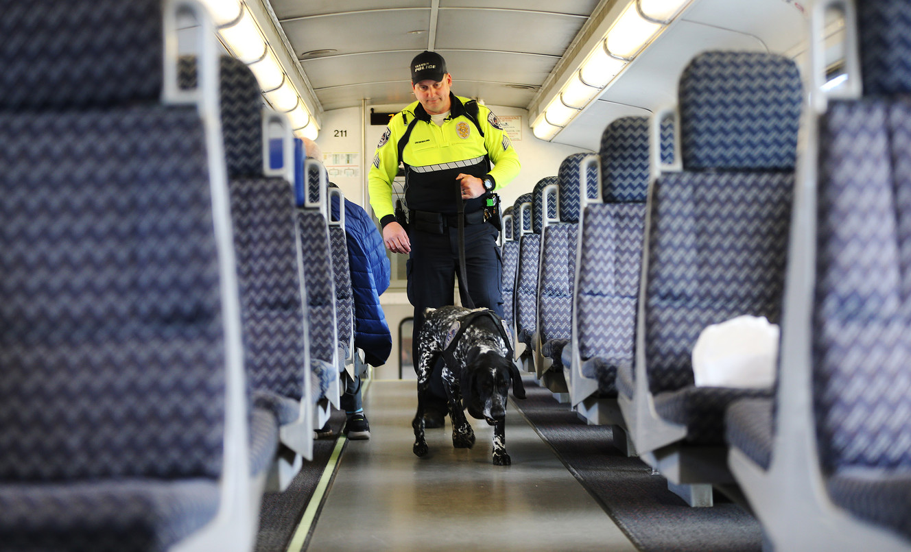 UTA using K-9s to protect against threats on mass transit