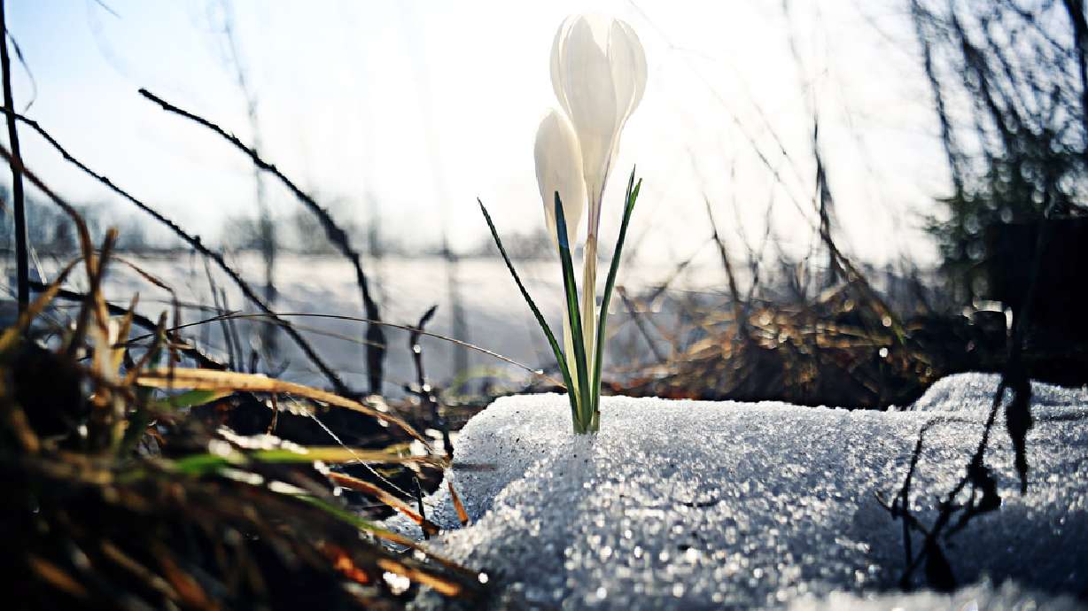 What’s a vernal equinox and why does it mark the first day of spring?