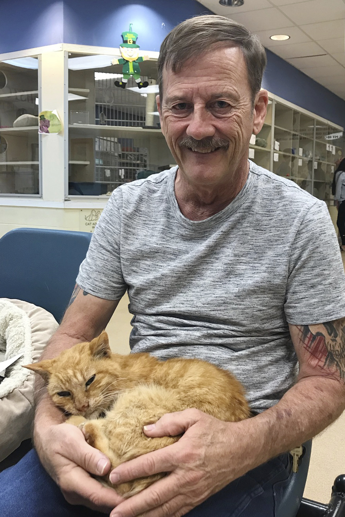 Florida man reunites with pet cat lost 14 years ago