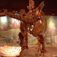 4 things to do during spring break in eastern Utah