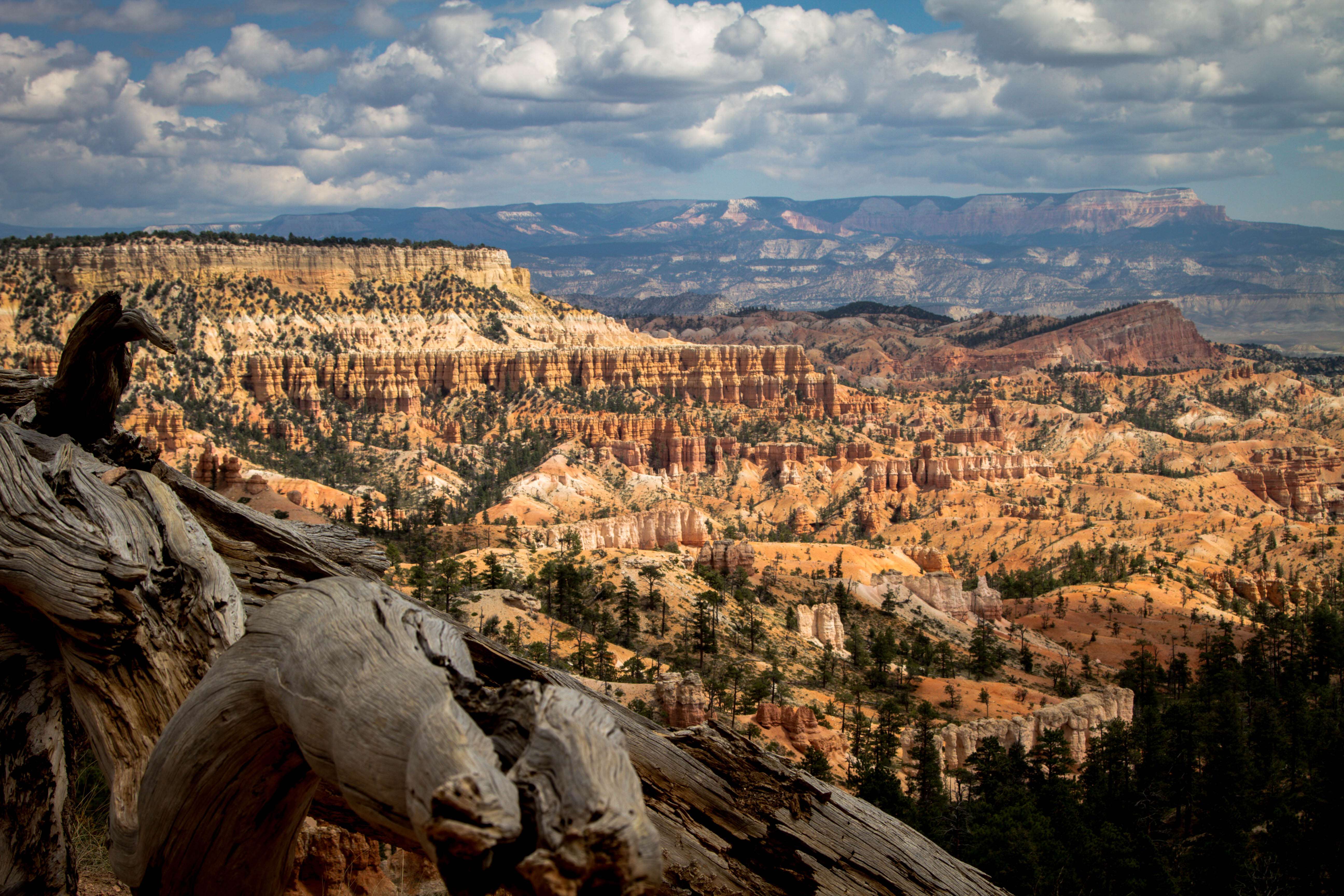 US National Parks to waive entrance fees for MLK holiday and 4 other days in 2023