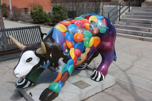 One of the bulls in downtown Logan in 2017/(Photo: Faith Heaton Jolley, KSL.com, File)