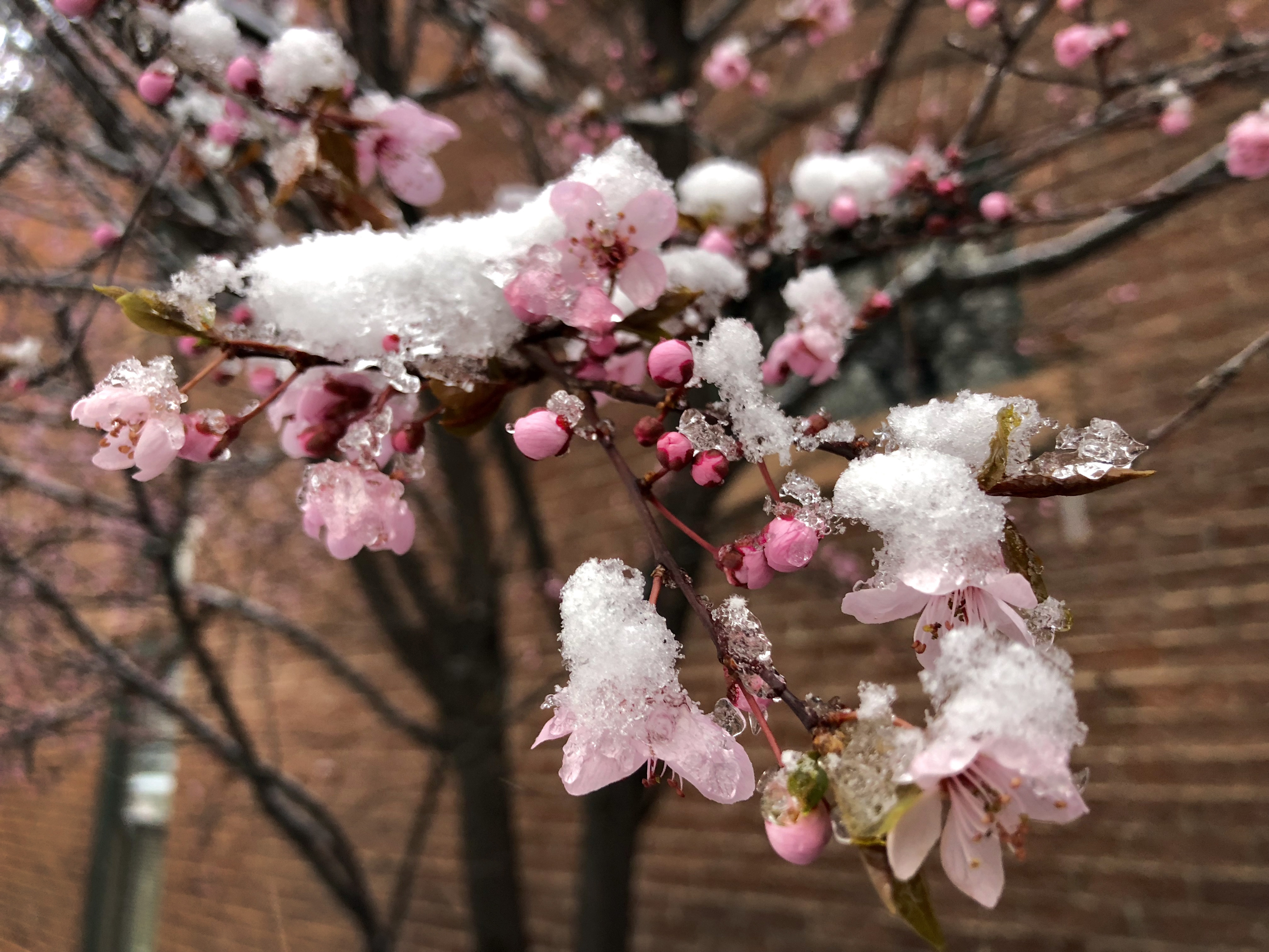 User submitted: First signs of spring